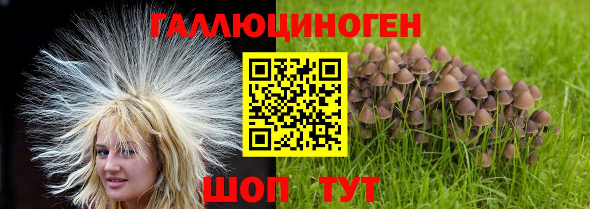 Полысаево  Псилоцибиновые грибы Psilocybe  Вход с VPN 